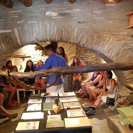 Pitrofos Cyclades Olive Museum'S Guest House מראה חיצוני תמונה