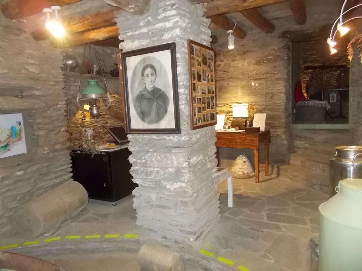 Pitrofos Cyclades Olive Museum'S Guest House מראה חיצוני תמונה