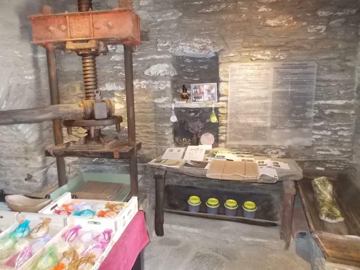 Pitrofos Cyclades Olive Museum'S Guest House מראה חיצוני תמונה